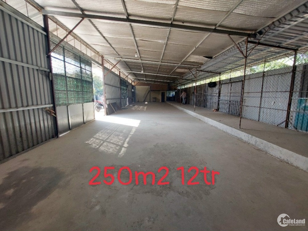 BDS HVL Cho thuê xưởng tại Phú Hữu, Quận 9