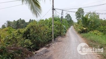 25x40 ĐẤT LẬP NHÀ VƯỜN GIá NGỘP