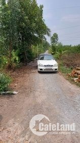 25x40 ĐẤT LẬP NHÀ VƯỜN GIá NGỘP