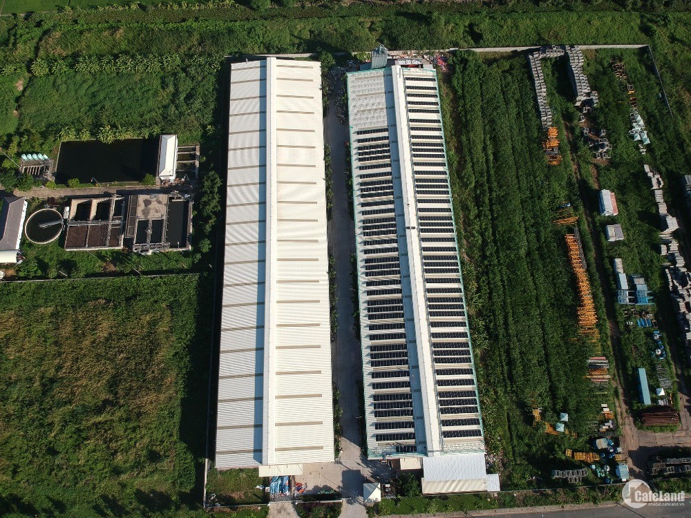 Khu công nghiệp Hòa Bình, Thủ Thừa, Long An