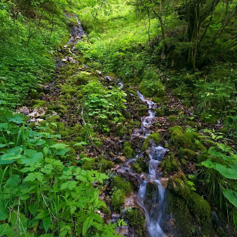 Vườn Xoài Cam Lâm 7,5ha có suối , Cách Biển Bãi Dài 9km, Giá rẻ 33k/m2