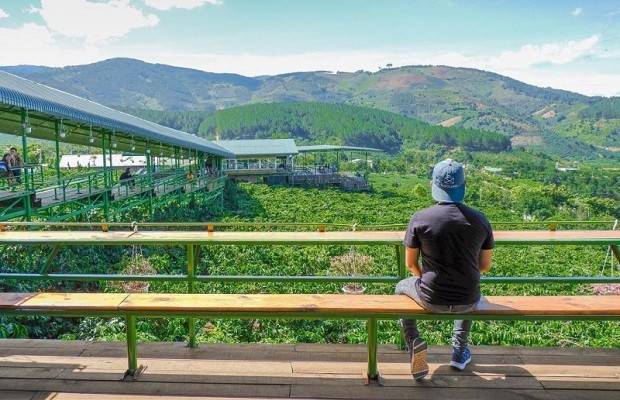 Vườn Xoài Cam Lâm 7,5ha có suối , Cách Biển Bãi Dài 9km, Giá rẻ 33k/m2
