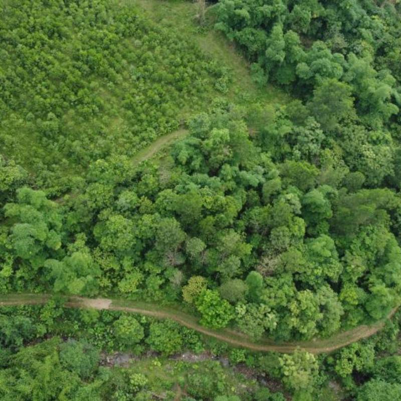 Vườn Xoài Cam Lâm 7,5ha có suối , Cách Biển Bãi Dài 9km, Giá rẻ 33k/m2