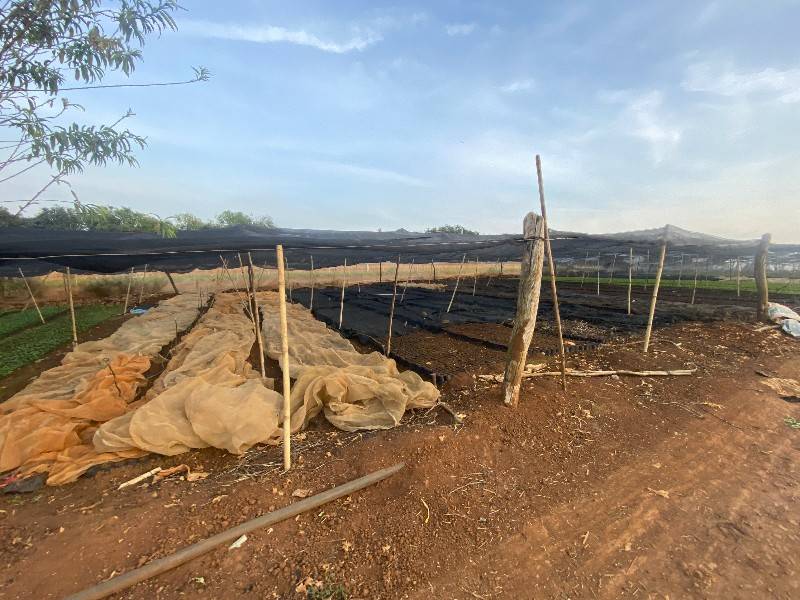 1,8ha đất MT đường lớn,cách ĐàLạt40km, 9,2tỷ ,KDC QH đất ở (Đức Trọng)