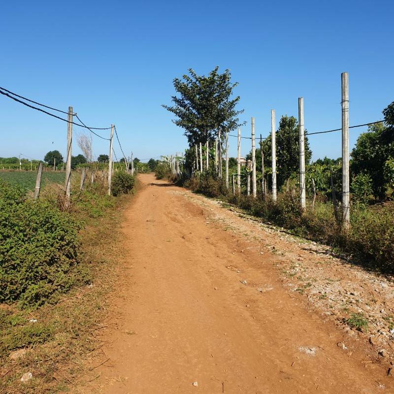 Đất rẻ diện tích lớn TP Pleiku