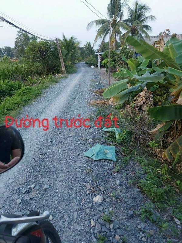 Cần Bán gấp 1000m2 Đất vườn, Ấp 5 xã Thạnh Lợi, Bến Lức, Long An