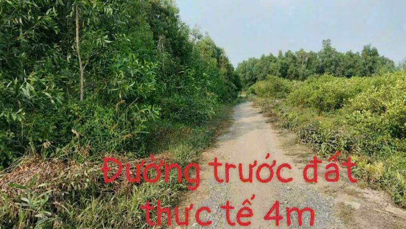 Cần Bán gấp 1000m2 Đất vườn, Ấp 5 xã Thạnh Lợi, Bến Lức, Long An