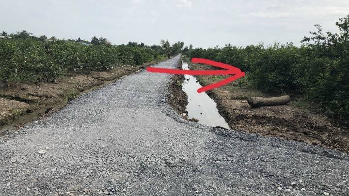 Cần bán gấp 2 Lô Đất vườn thuộc xã Thạnh Lợi, Bến Lức, Long An