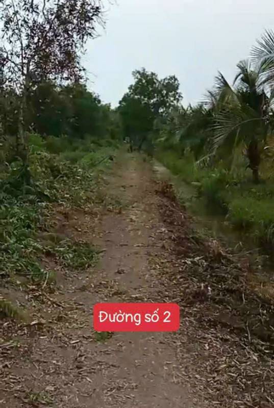 Chính chủ gửi, Bán gấp 16.000m2 Đất vườn Thạnh Hòa, Bến Lức, Long An