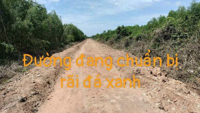 Cần bán gấp 2 lô đất vườn, mặt tiền kênh Rạch Chiếc, Bến Lức, Long An