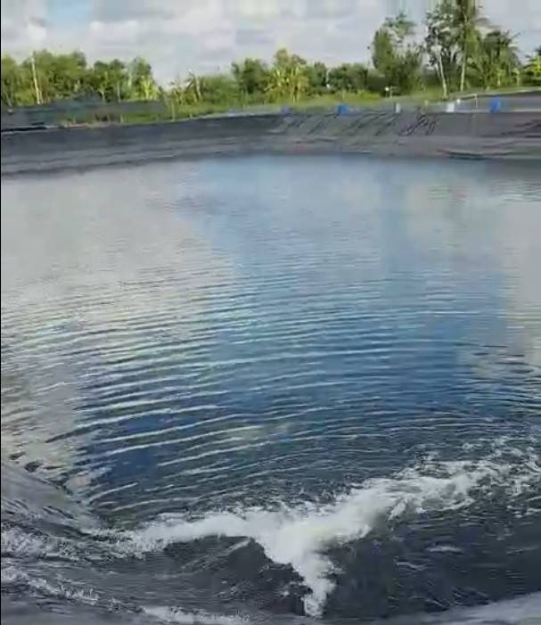 Bán toàn bộ khu nuôi tôm CN cao gồm 12.500m², xã Phú Thuận, Tân Phú