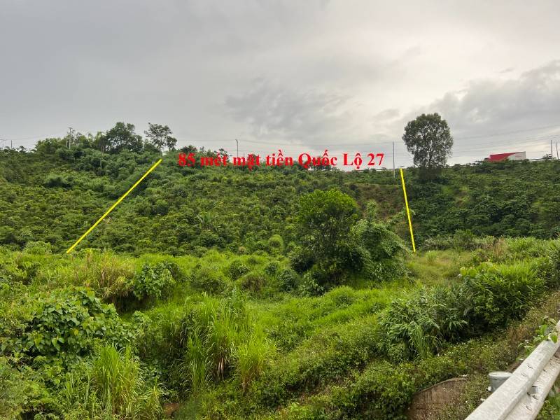 Bán 9.500 m2 đất mặt tiền Quốc Lộ 27, tỉnh Lâm Đồng