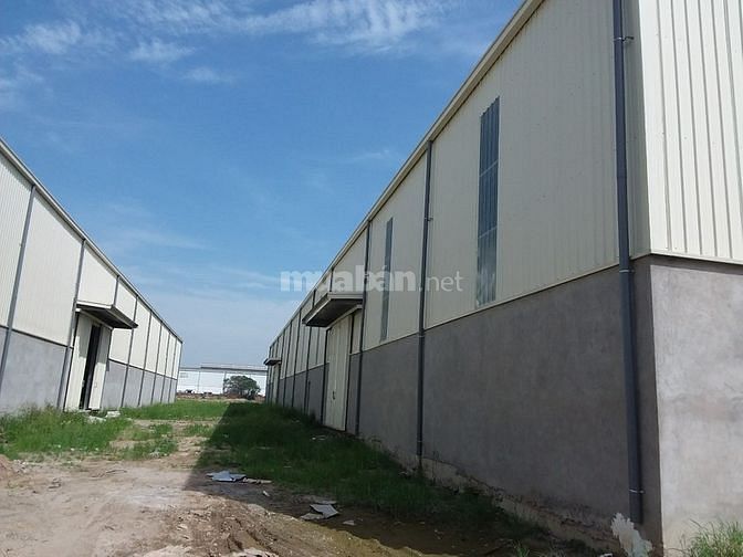 Cho thuê nhà xưởng mới trong và ngoài khu công nghiệp Tân Tiến