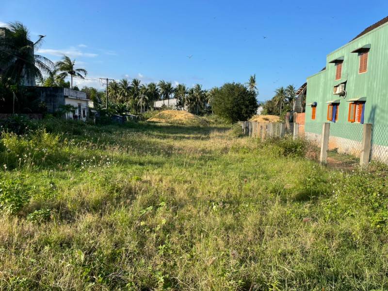 Cần bán gấp thửa đất 4.200m,Trần Hưng Đạo,Bồng Sơn,Hoài Nhơn,Bình Định