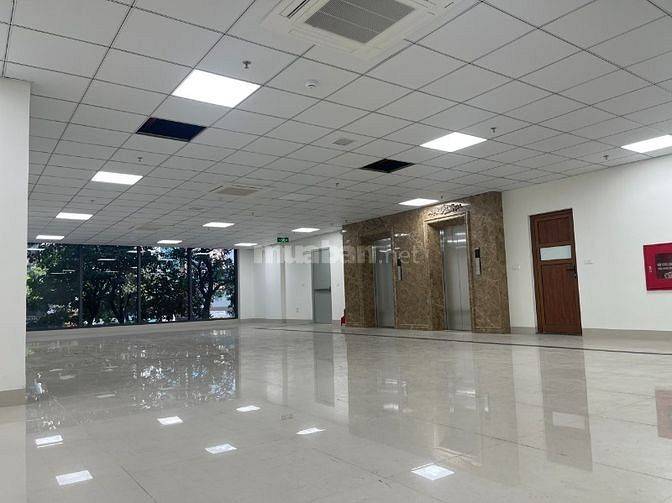 Cho thuê toà building xây mới, sàn 200m2, 6 tầng 2 hầm, hè rộng, MT 10