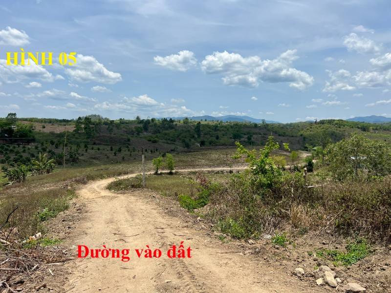 Bán 8.677 m2 đất giáp sông tại tỉnh Daklak