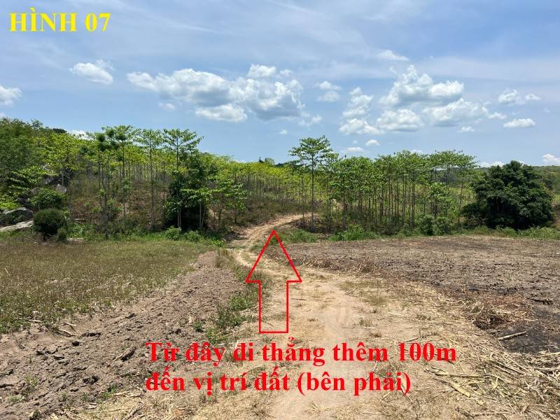 Bán 8.677 m2 đất giáp sông tại tỉnh Daklak