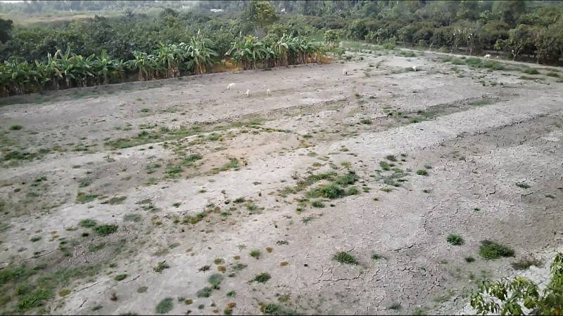 Chính chủ bán 3.796m2 đất đường tỉnh 920 KCN Trà Nóc Cần Thơ đi vô 2km