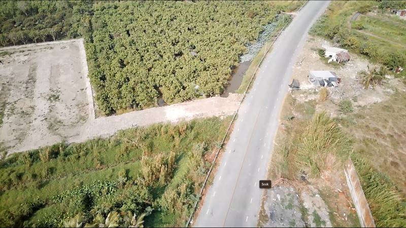 Chính chủ bán 3.796m2 đất đường tỉnh 920 KCN Trà Nóc Cần Thơ đi vô 2km