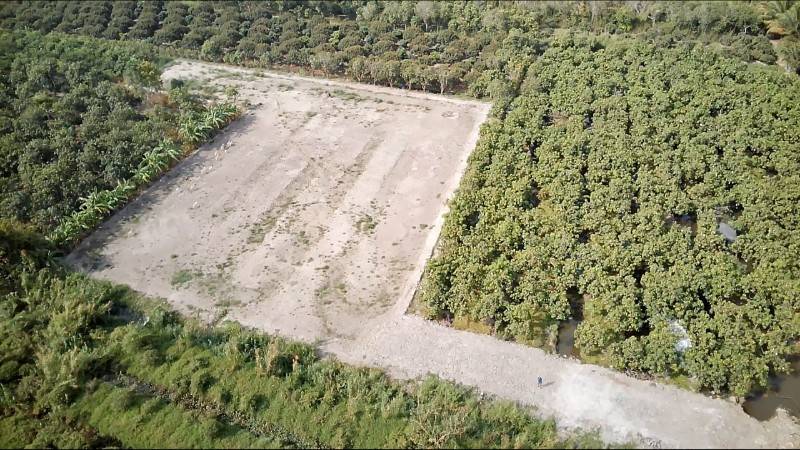 Chính chủ bán 3.796m2 đất đường tỉnh 920 KCN Trà Nóc Cần Thơ đi vô 2km