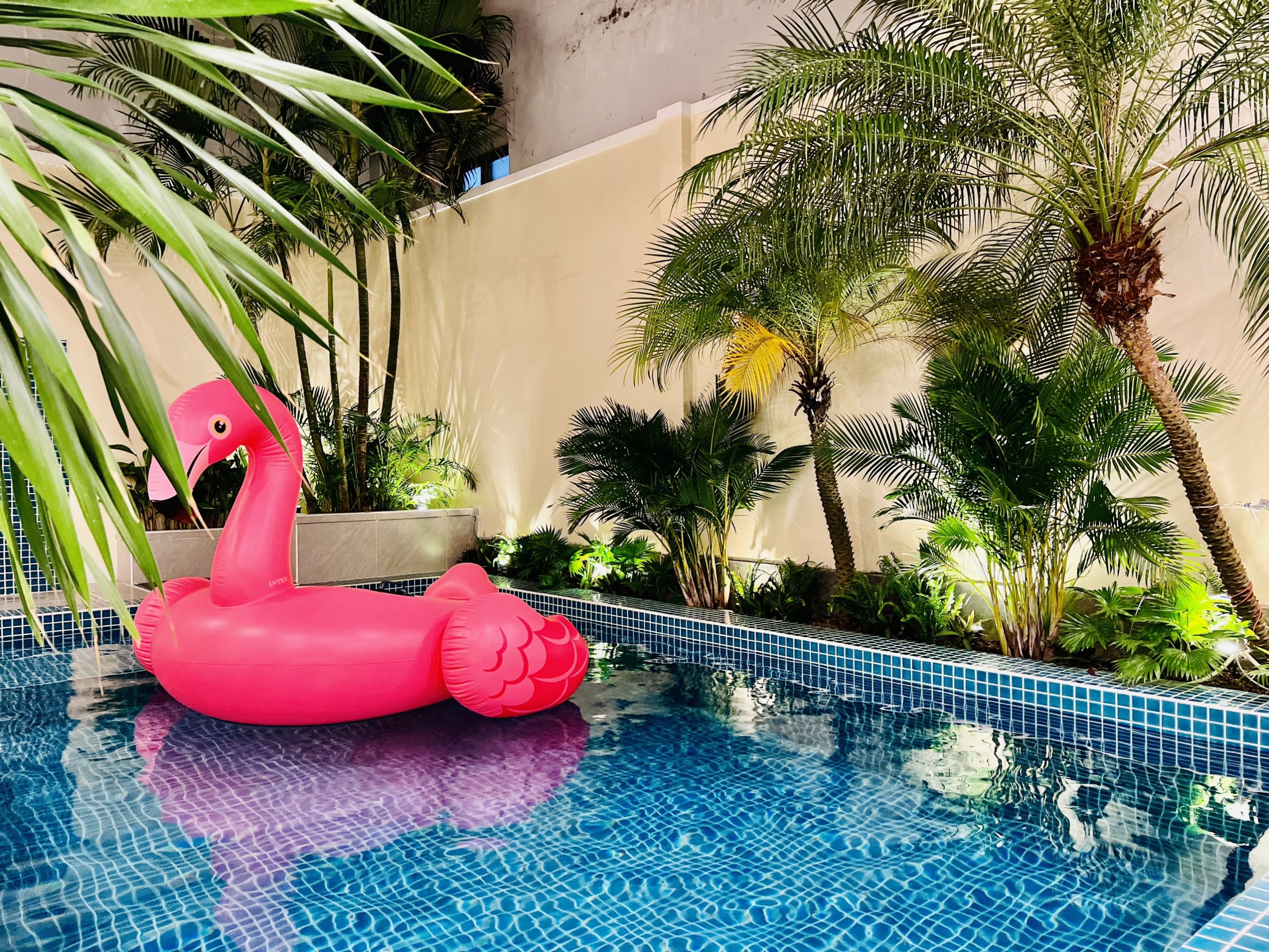 Villa Hồ Bơi Vũng Tàu sân siêu rộng