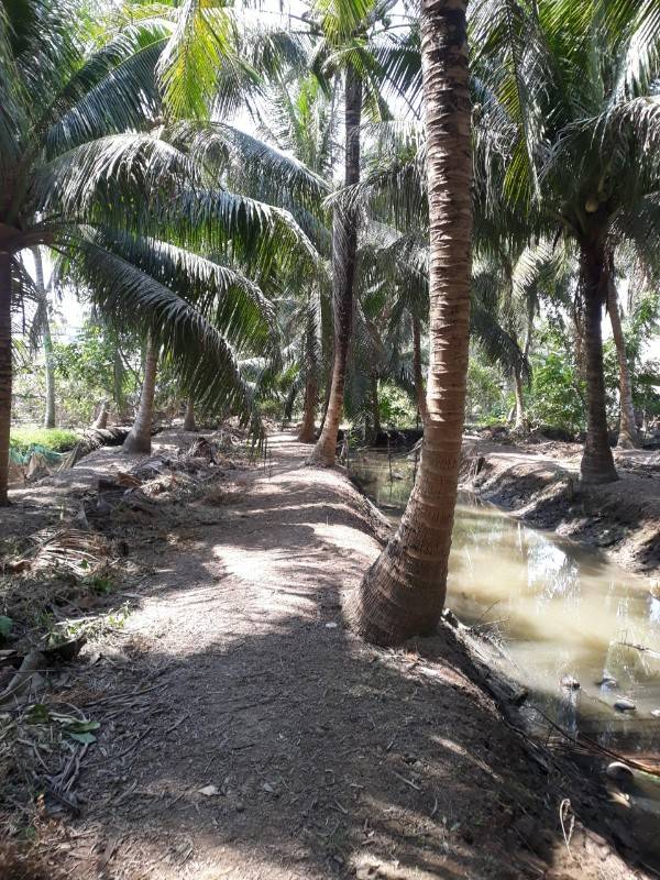 bán đất vườn dừa xã minh đức