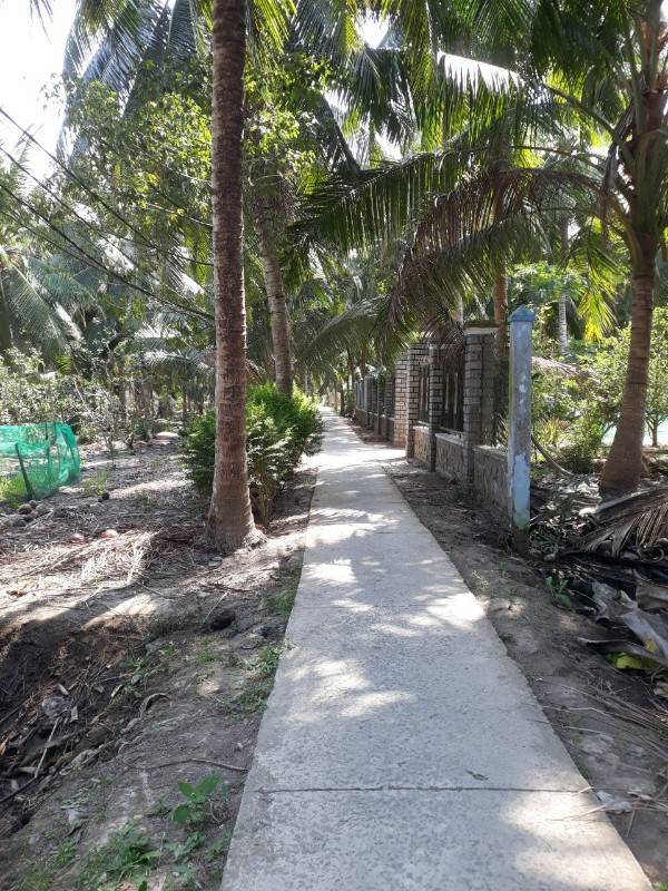 bán đất vườn dừa xã minh đức