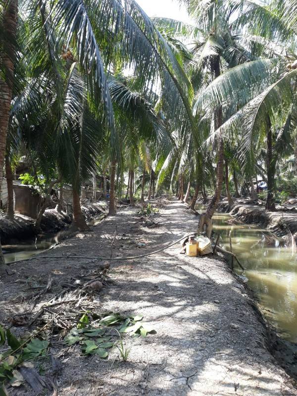 bán đất vườn dừa xã minh đức