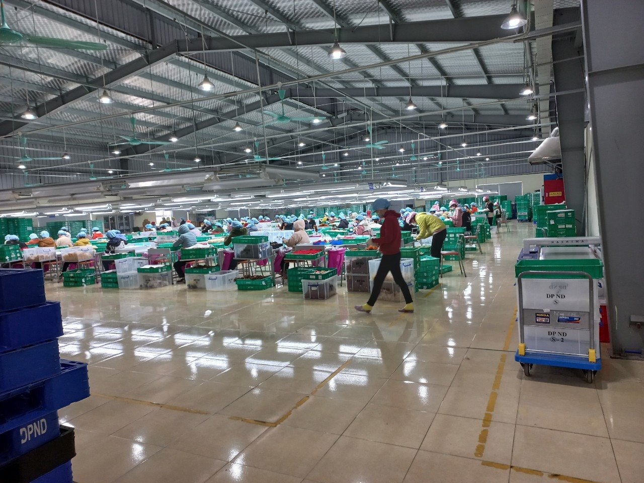 TRANSFER OF THE ENTIRE FACTORY in NAM DINH PROVINCE/南定省整个工厂转让