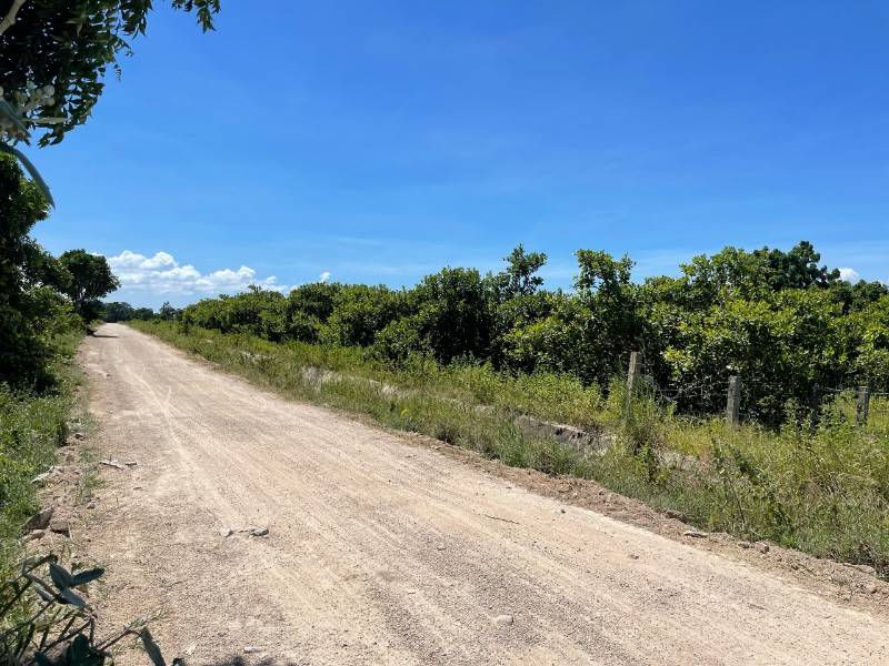 Cần bán nhanh 1254m2 quy hoạch ONT cách nút cao tốc QL28B 2km