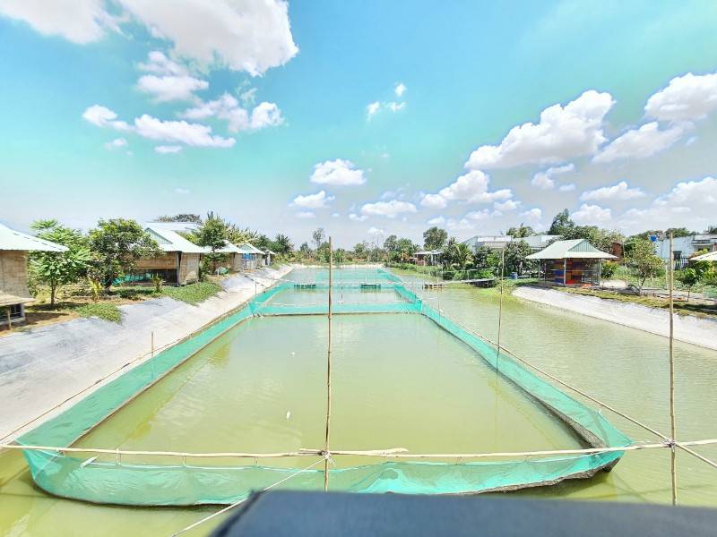Cho thuê khu sinh thai 6000m2