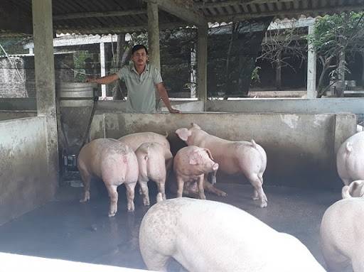 Không người trông coi, cần Cho thuê tổ hợp sản xuất/kinh doanh/trại