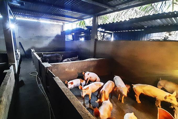 Không người trông coi, cần Cho thuê tổ hợp sản xuất/kinh doanh/trại
